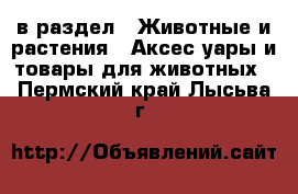  в раздел : Животные и растения » Аксесcуары и товары для животных . Пермский край,Лысьва г.